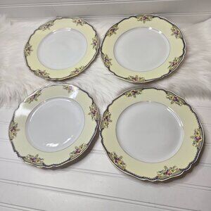 VTG (4) Paul Muller Selb "The Minto" #1328 Bavaria Germany 10" Dinner Plates